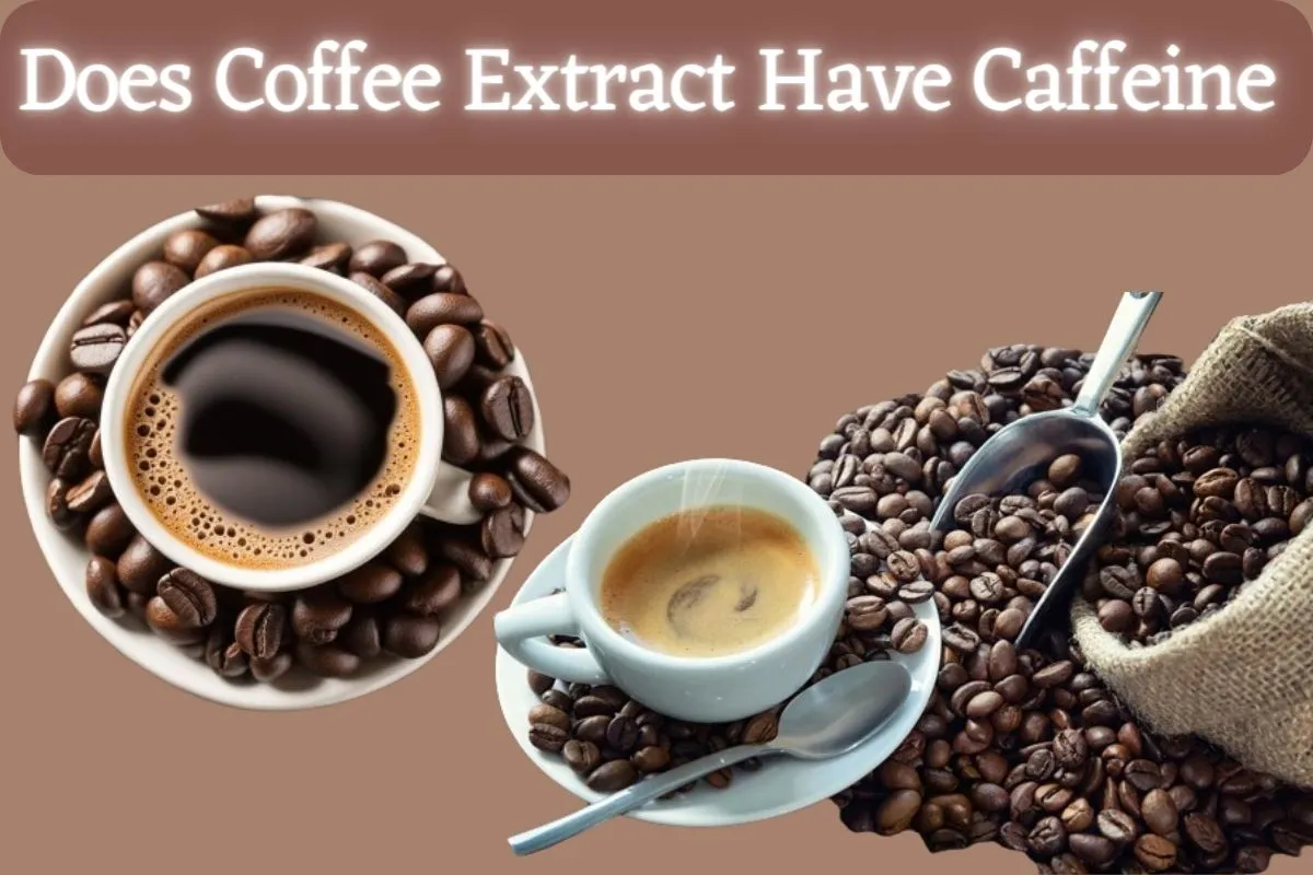 Does Coffee Extract Have Caffeine