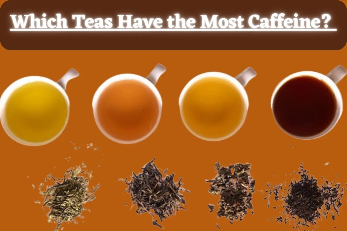 Which Teas Have the Most Caffeine