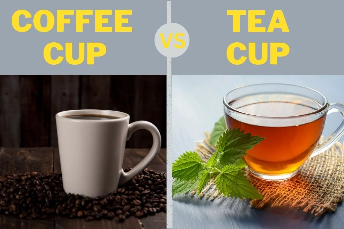 Coffee Cup vs Teacup