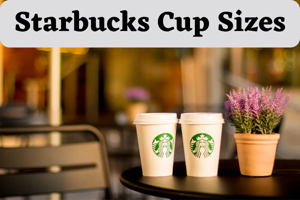 Starbucks Cup Sizes